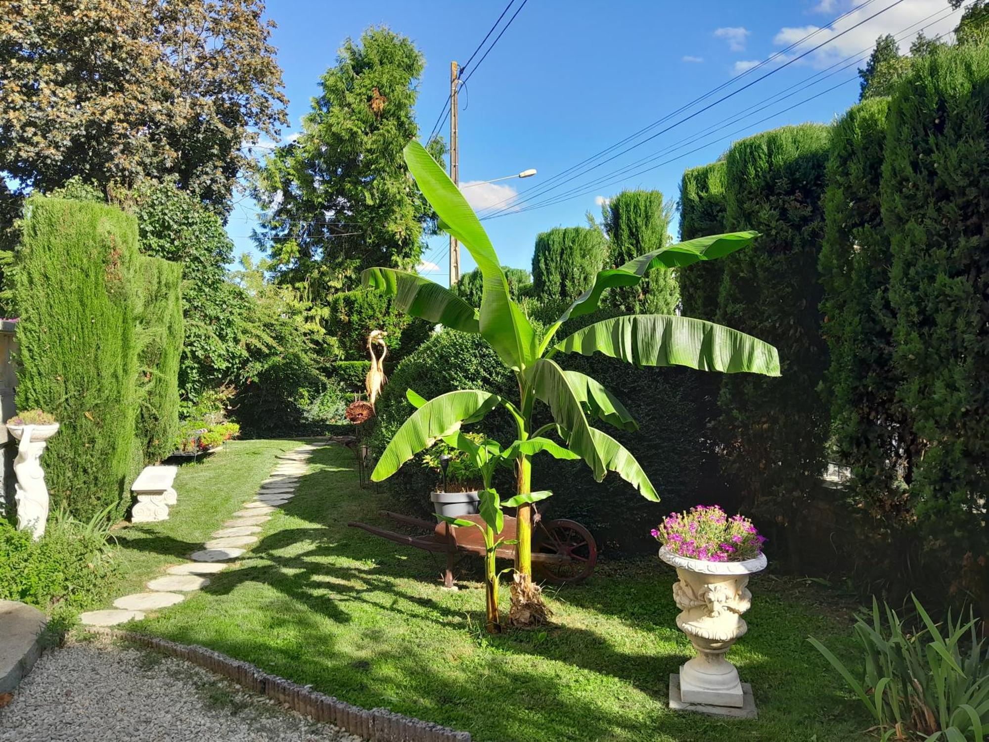 Mamers Le Madrigal B&B 외부 사진